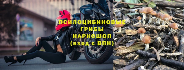 ECSTASY Армянск
