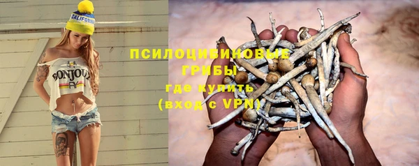 mix Арсеньев