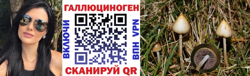 Галлюциногенные грибы GOLDEN TEACHER  Сунжа 