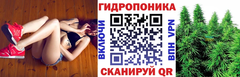 цена наркотик  Сунжа  Бошки марихуана OG Kush 